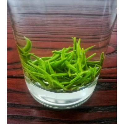 湘金蕊綠茶黃金茶綠茶云臺山茶永州茗茶雙牌特產(chǎn)