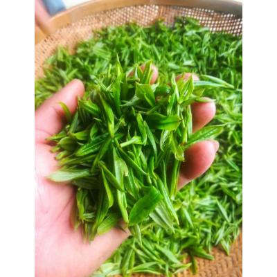 湘金蕊綠茶黃金茶綠茶云臺山茶永州茗茶雙牌特產(chǎn)